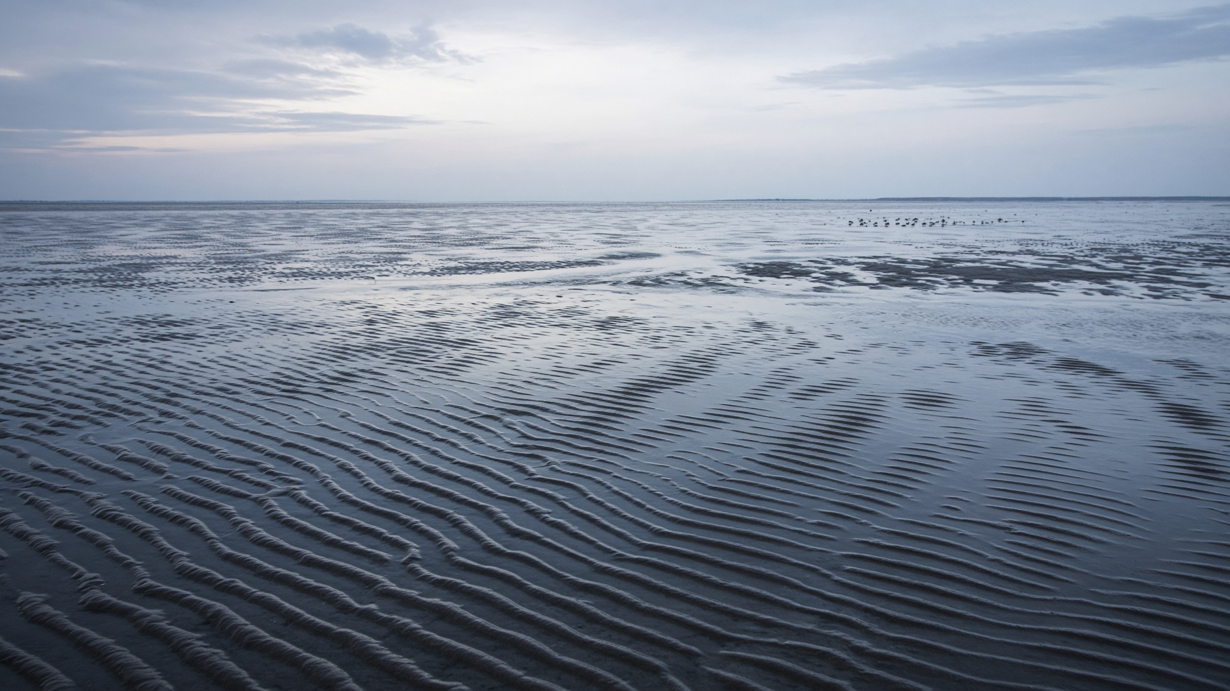 UNESCO-Weltnaturerbe Wattenmeer bei Ebbe